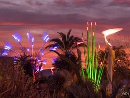 Illuminations de Noël à Saint-Raphaël