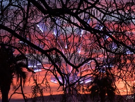 Illuminations de Noël à Saint-Raphaël