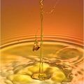 goutte039.jpg