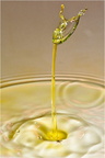 goutte042.jpg