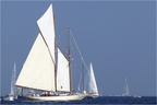 voiles04.jpg