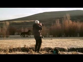 Season 1: Episode 2 - Shooting Wildlife