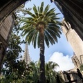 CATHEDRALE  SAINTE-CROIX DE BARCELONE