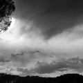 23032012- MG 8847