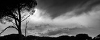 23032012- MG 8847