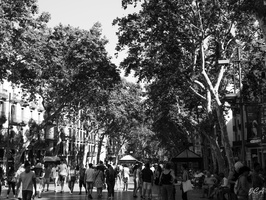 La Rambla de Barcelona