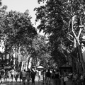 La Rambla de Barcelona