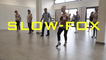 SLOW FOX-Wi-Fi - faible
