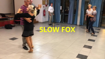 SLOW FOX